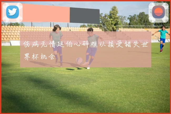 伤病无情廷伯心碎难以接受错失世界杯机会